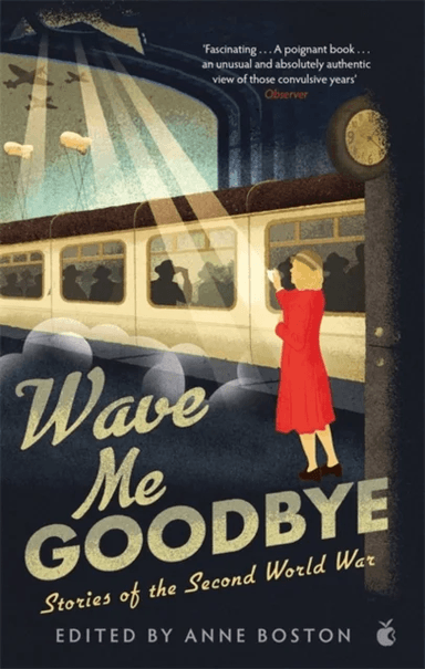 Wave Me Goodbye av Anne Boston