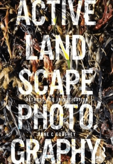 Active Landscape Photography av Anne (State University of New York USA) Godfrey