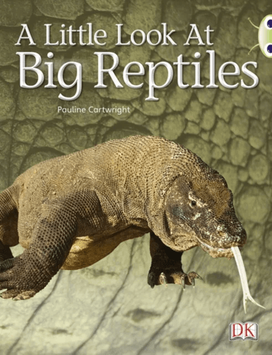 Bug Club Guided Non Fiction Year 1 Blue B A Little Look at Big Reptiles av Pauline Cartwright