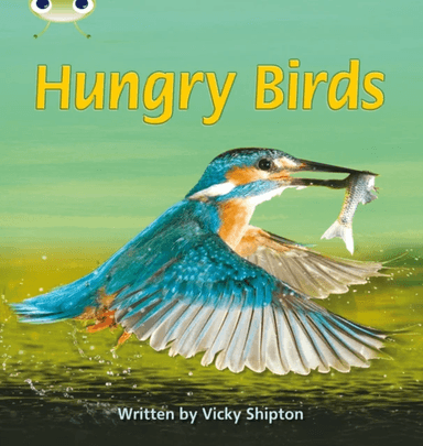 Bug Club Phonics Non Fiction Year 1 Phase 5 Set 23 Hungry Birds av Vicky Shipton