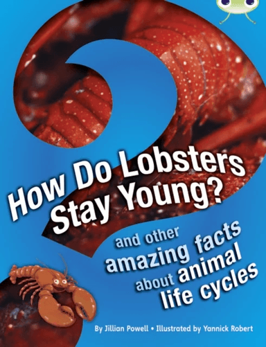 Bug Club Independent Non Fiction Year 3 Brown A How Do Lobsters Stay Young? av Jillian Powell