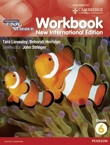 Heinemann Explore Science 2nd International Edition Workbook 6 av John Stringer, Deborah Herridge