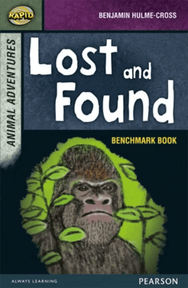 Rapid Stage 7 Assessment book: Lost and Found av Dee Reid, Benjamin Hulme-Cross