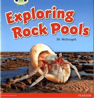 Bug Club Guided Non Fiction Year 1 Green C Exploring Rock Pools av Jill McDougall