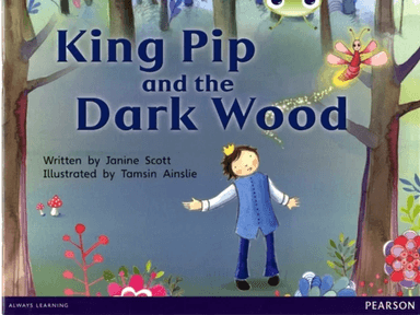 Bug Club Red B (KS1) King Pip and the Dark Wood 6-pack av Janine Scott