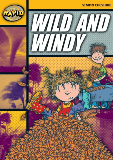Rapid Reading: Wild and Windy (Stage 4, Level 4A) av Simon Cheshire