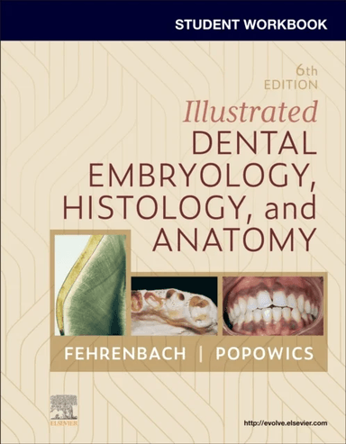 Student Workbook for Illustrated Dental Embryology, Histology and Anatomy av Margaret J. (Oral Biologist and Dental Hygienist Fehrenbach, Bachelor of