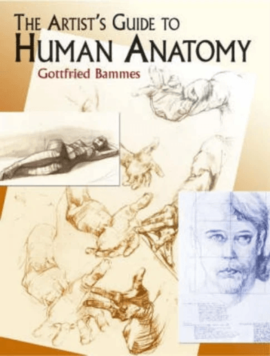The Artist's Guide to Human Anatomy av Gottfried Bammes