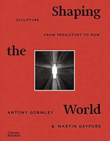 Shaping the World av Antony Gormley, Martin Gayford
