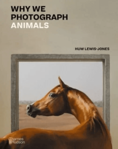 Why We Photograph Animals av Huw Lewis-Jones