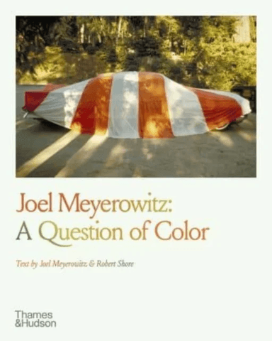 Joel Meyerowitz: A Question of Color av Joel Meyerowitz