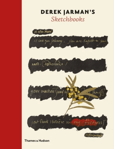 Derek Jarman's Sketchbooks av Ed Webb-Ingall