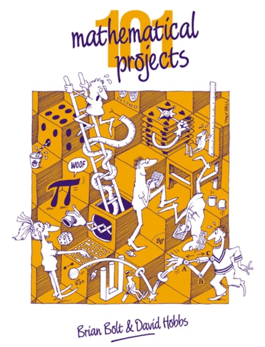 101 Mathematical Projects av Brian Bolt, David Hobbs
