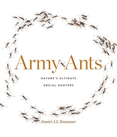 Army Ants av Daniel J. C. Kronauer