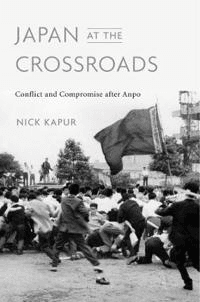 Japan at the Crossroads av Nick Kapur