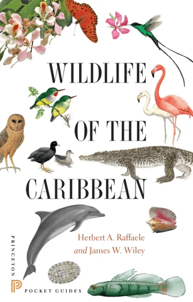 Wildlife of the Caribbean av Herbert A. Raffaele, James Wiley