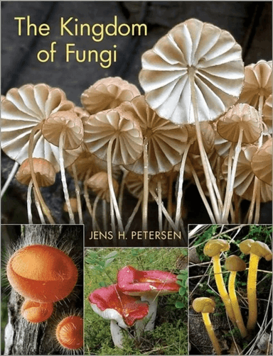 The Kingdom of Fungi av Jens H. Petersen
