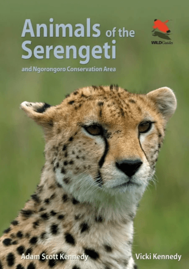 Animals of the Serengeti av Adam Scott Kennedy, Vicki Kennedy