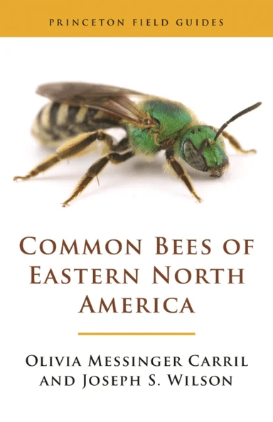 Common Bees of Eastern North America av Olivia Messinger Carril, Joseph S. Wilson