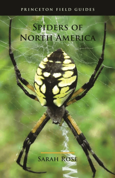 Spiders of North America av Sarah Rose