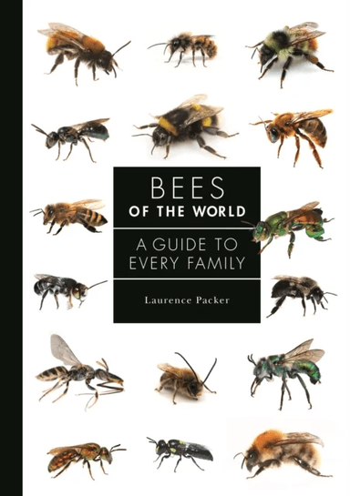 Bees of the World av Laurence Packer
