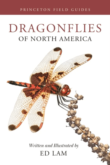 Dragonflies of North America av Ed Lam