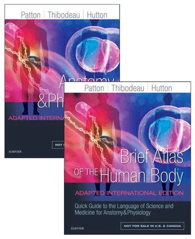 Anatomy and Physiology av Kevin T. PhD (Professor Emeritus Life Sciences St. Charles Community College Cottleville MO Professor of Human Anatomy &amp;