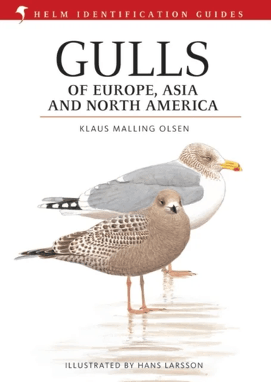 Gulls of Europe, Asia and North America av Klaus Malling Olsen