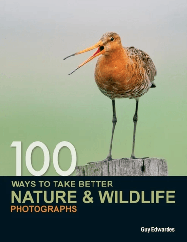 100 Ways to Take Better Nature &amp; Wildlife Photographs av Guy Edwardes