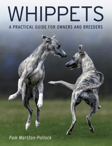 Whippets av Pam Marston-Pollock