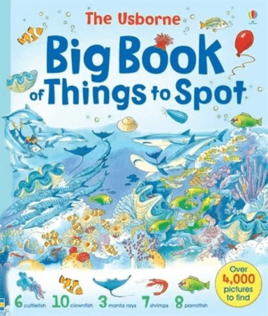 Big Book of Things to Spot av Gillian Doherty, Ruth Brocklehurst, Anna Milbourne