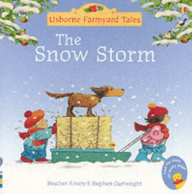 The Snow Storm av Heather Amery