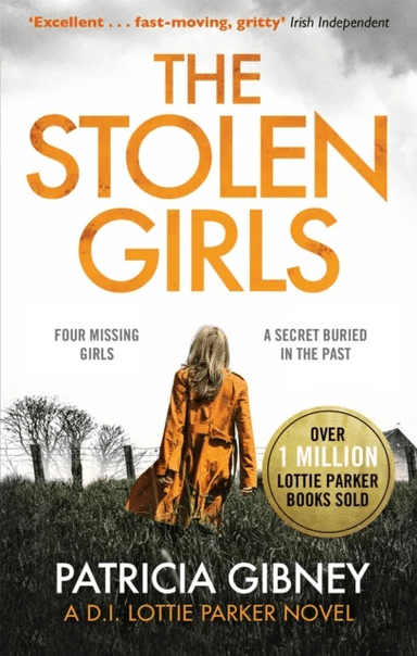 The Stolen Girls av Patricia Gibney