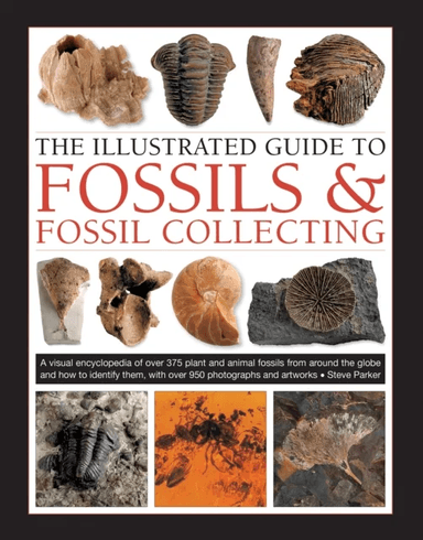 Fossils &amp; Fossil Collecting, The Illustrated Guide to av Steve Parker