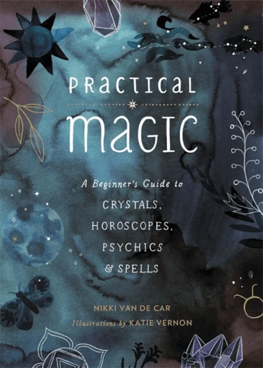 Practical Magic av Nikki Van De Car