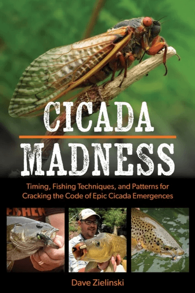 Cicada Madness av Dave Zielinski