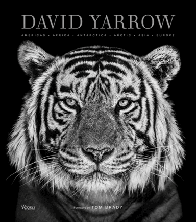 David Yarrow Photography av David Yarrow, Tom Brady