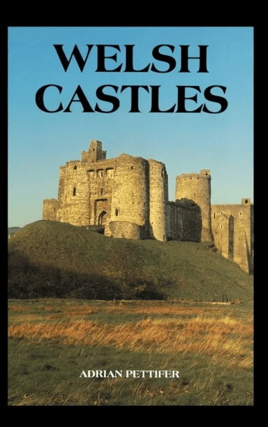 Welsh Castles av Adrian Pettifer