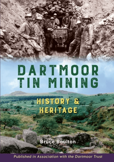Dartmoor Tin Mining av Bruce Boulton