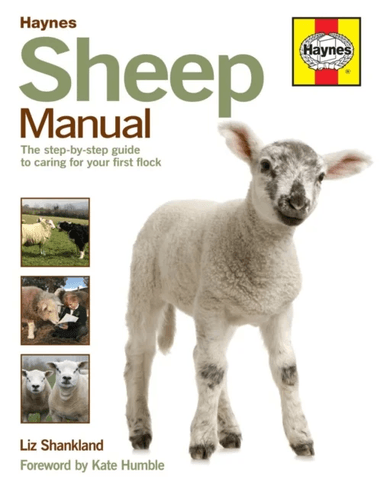 Sheep Manual av Liz Shankland