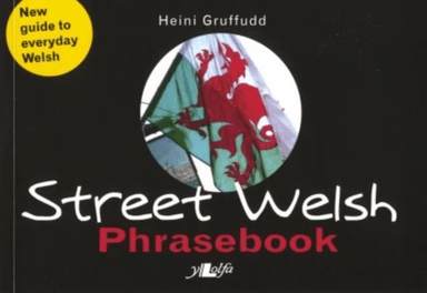 Street Welsh - Phrasebook av Heini Gruffudd