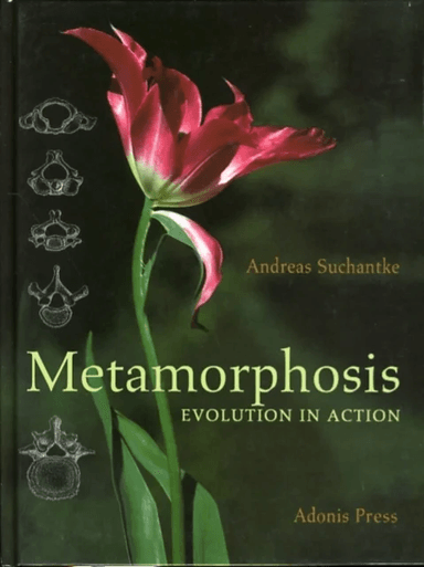 Metamorphosis av Andreas Suchantke