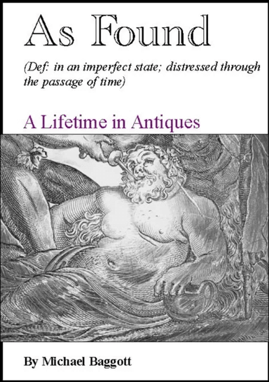 As Found av Michael Baggott