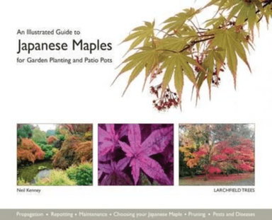 An Illustrated Guide to Japanese Maples for Garden Planting and Patio Pots av Neil Kenney