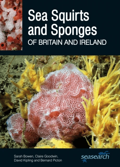 Sea Squirts and Sponges of Britain and Ireland av Sarah Bowen, Claire Goodwin, David Kipling, Bernard Picton