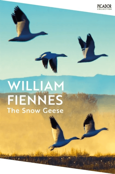 The Snow Geese av William Fiennes