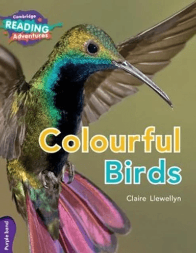 Cambridge Reading Adventures Colourful Birds Purple Band av Claire Llewellyn