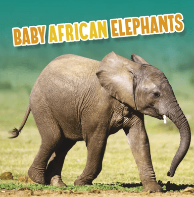 Baby African Elephants av Martha E. H. Rustad