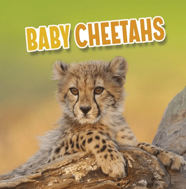 Baby Cheetahs av Martha E. H. Rustad