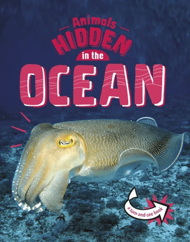 Animals Hidden in the Ocean av Jessica Rusick